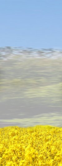 back02.jpg